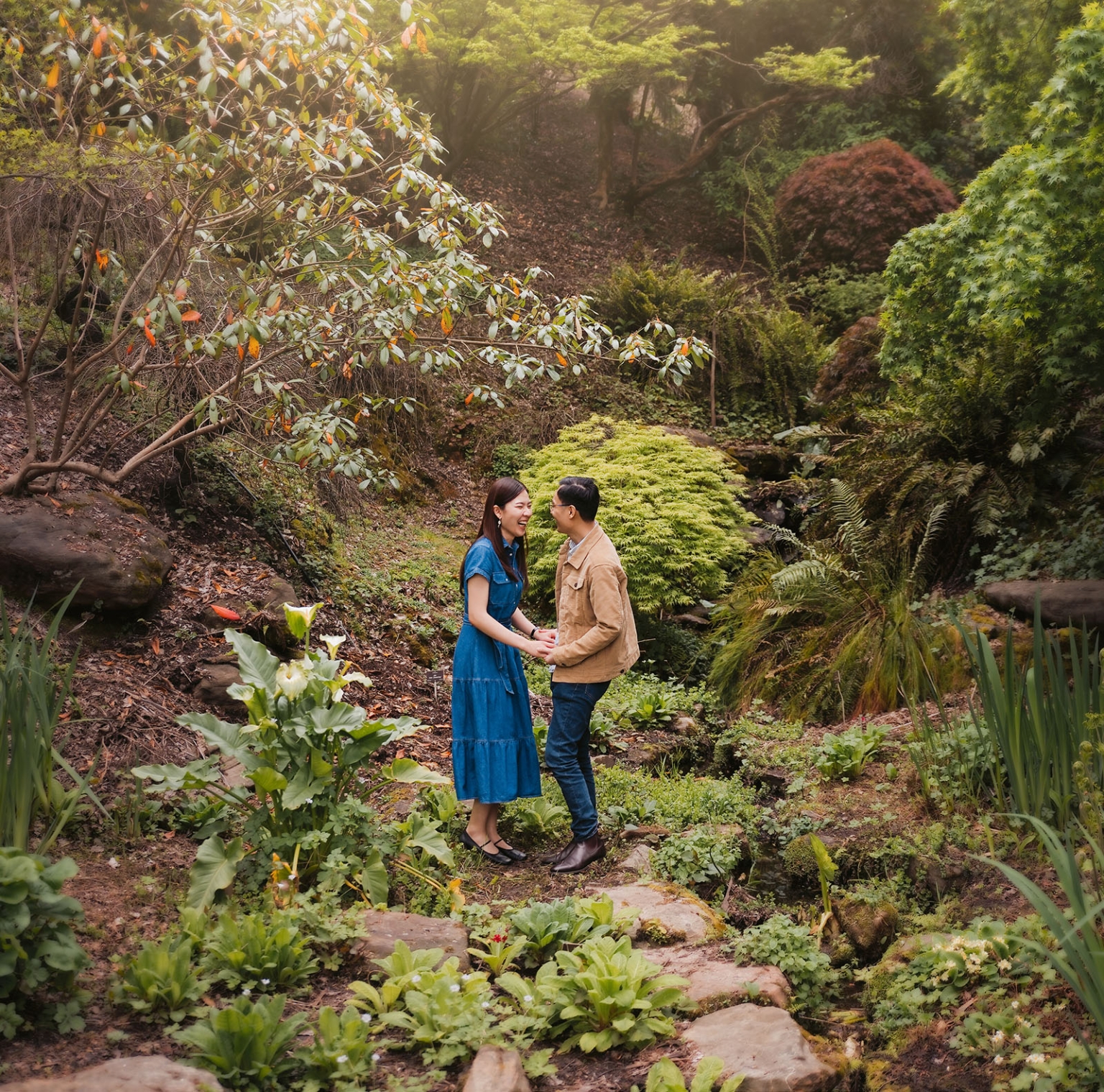 mt lofty botanic park proposal – watay & phouthun 17 Watay and Phouthun holding hands and laughing among lush plants at Mount Lofty Botanic Garden