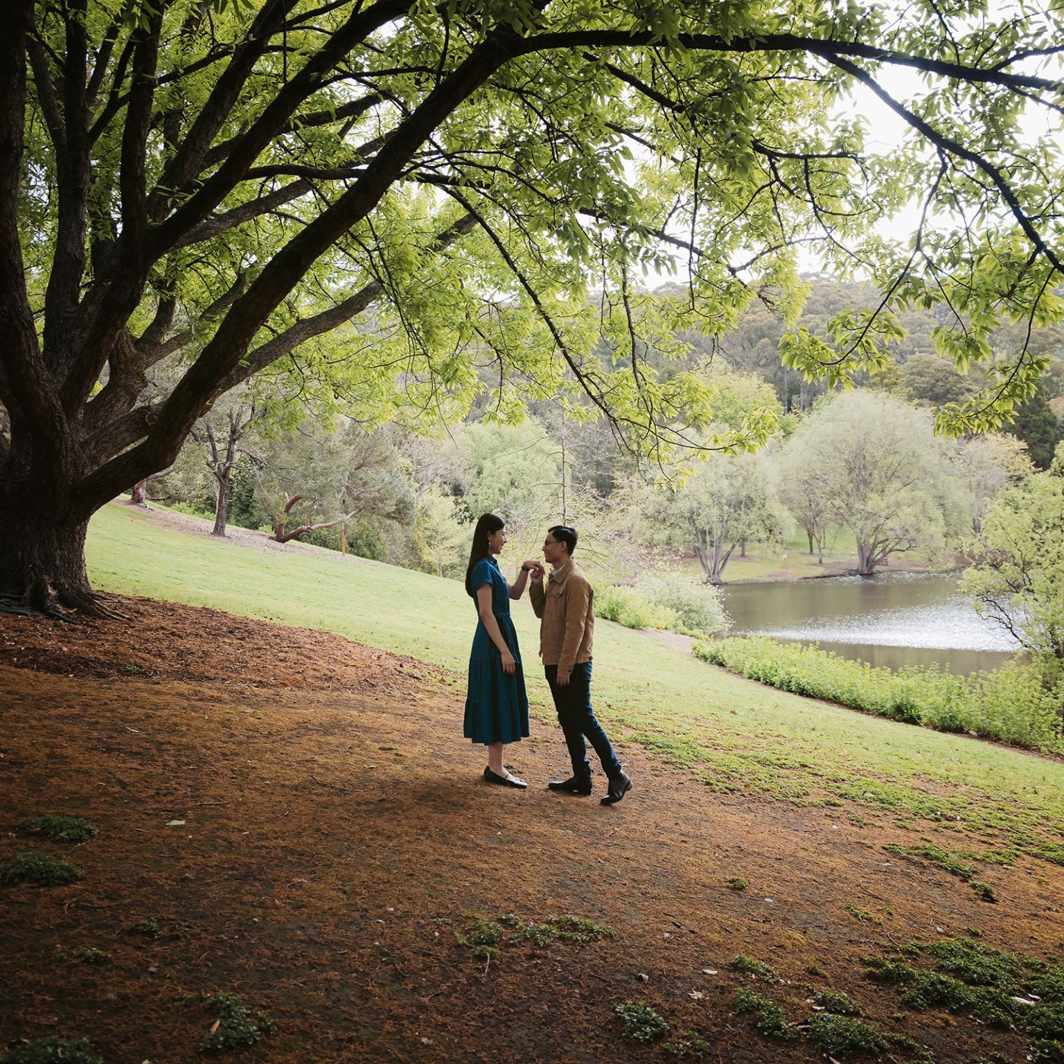 mt lofty botanic park proposal – watay & phouthun 28 Phouthun holds Watay's hand beneath a large tree beside a pond at Mount Lofty Botanic Garden.