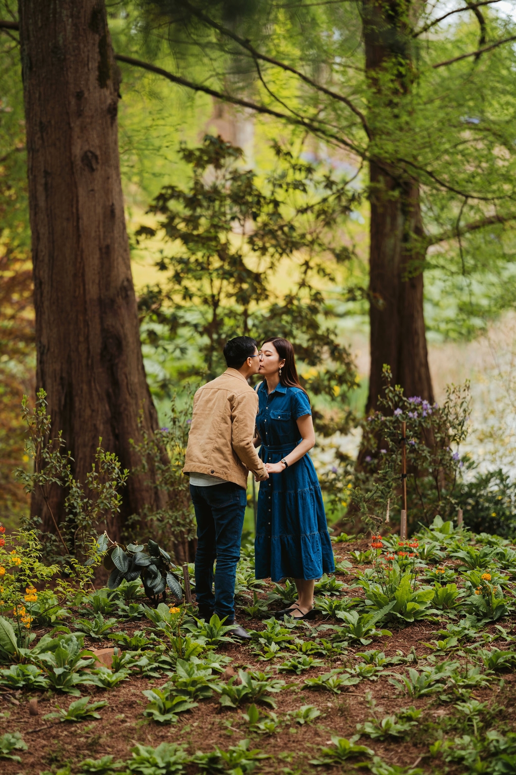 mt lofty botanic park proposal – watay & phouthun 12 Watay and Phouthun kissing while holding hands among flowering garden beds and tall trees at Mount Lofty Botanic Garden