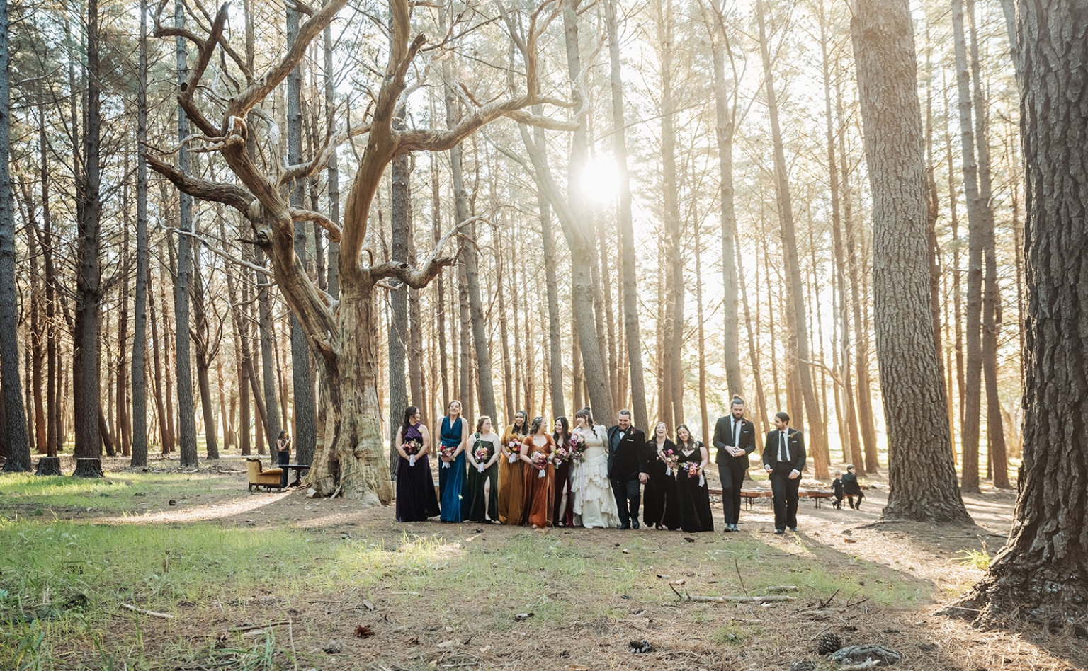 burbrook wedding – amber & angus | kuitpo forest wedding 34 Wedding party walking through sunlit pine trees in Kuitpo Forest, with bridesmaids holding bouquets and the couple at centre