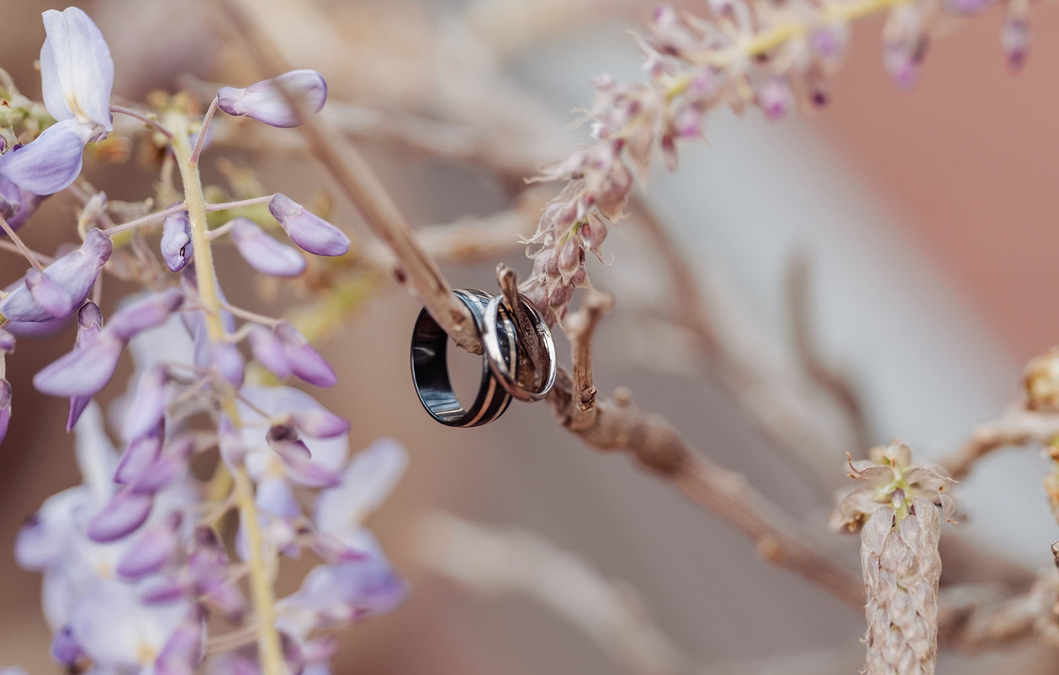 st joseph's chapel wedding – diana & michael 32 Wedding rings hanging from a branch among soft purple wisteria flowers